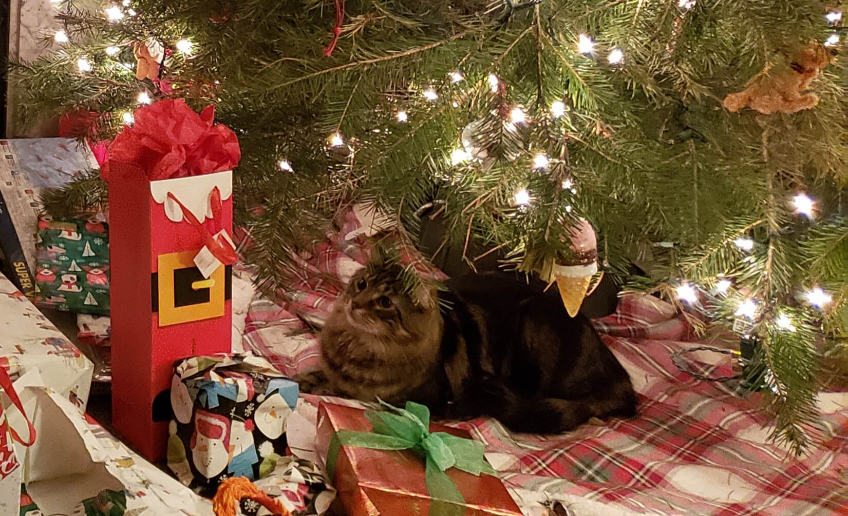 A cat relaxing under a Christmas tree, surrounded by presents.