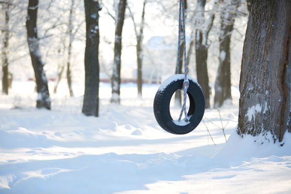 snowy woods scene with a tire swing, also covered in snow.