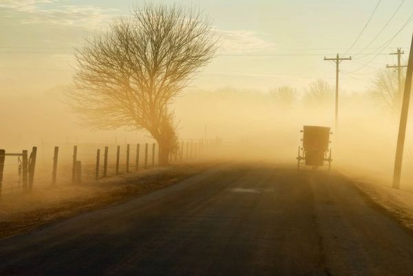 Amish Buggy in Morning Fog